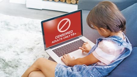 Restricción a menores de páginas pornográficas.