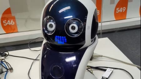 TOOLY el robot de asistencia social para adultos mayores. Foto: Captura de video.