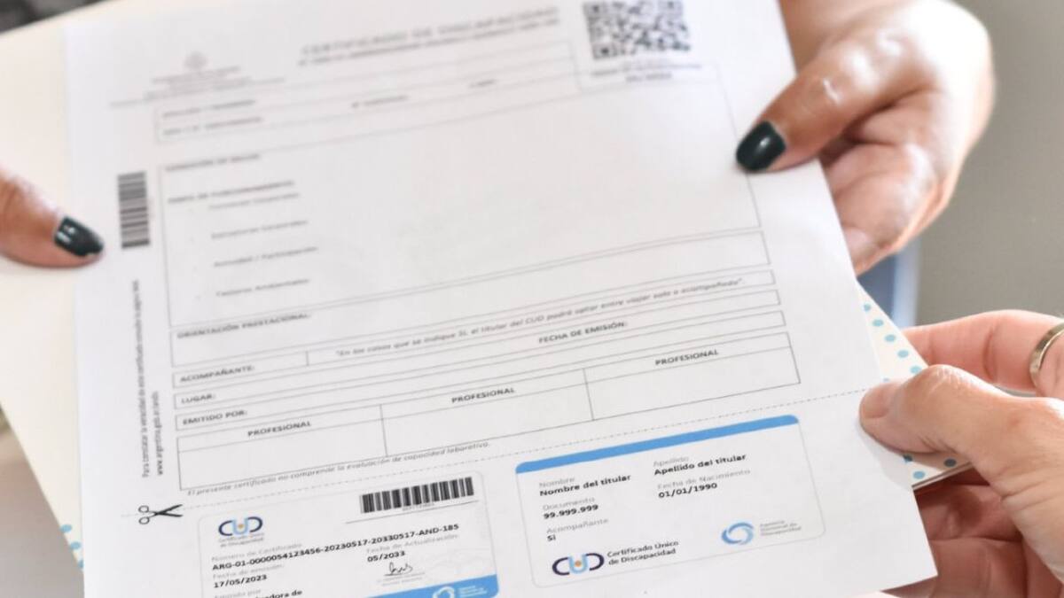 Certificado Único de Discapacidad. Foto/X: @andiscapacidad