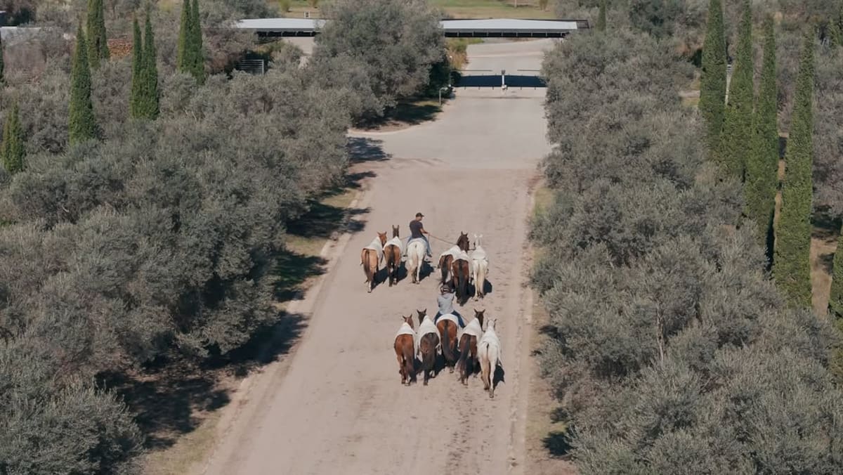 Estancia La Paz