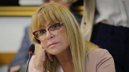 Aída Ayala - Política (NA)