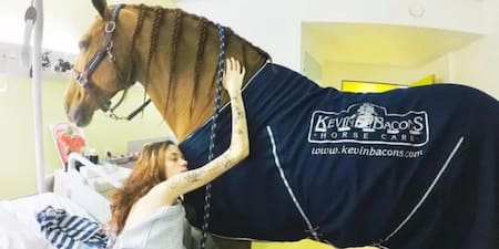 Peyo, el caballo que acompaña a pacientes con cáncer. Fuente: Instagram @docteur_peyo