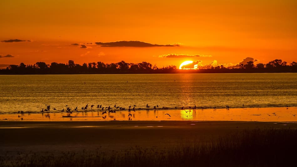 Chascomús, en Buenos Aires. Foto: Turismo Chascomús.