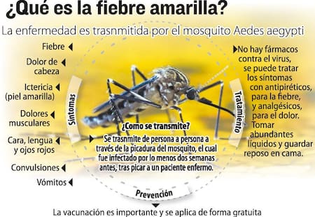 Fiebre Amarilla Infografia de Tránsito Argentina