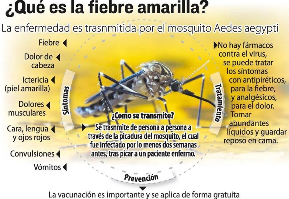 Fiebre Amarilla Infografia de Tránsito Argentina