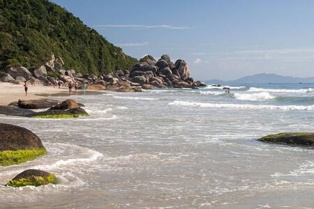 Praia das Palmas, en Governador Celso Ramos, Brasil. Foto: lugardeviajes.com.