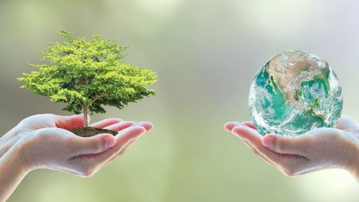 Día Mundial del Medio Ambiente - Efemérides