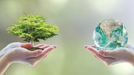 Día Mundial del Medio Ambiente - Efemérides