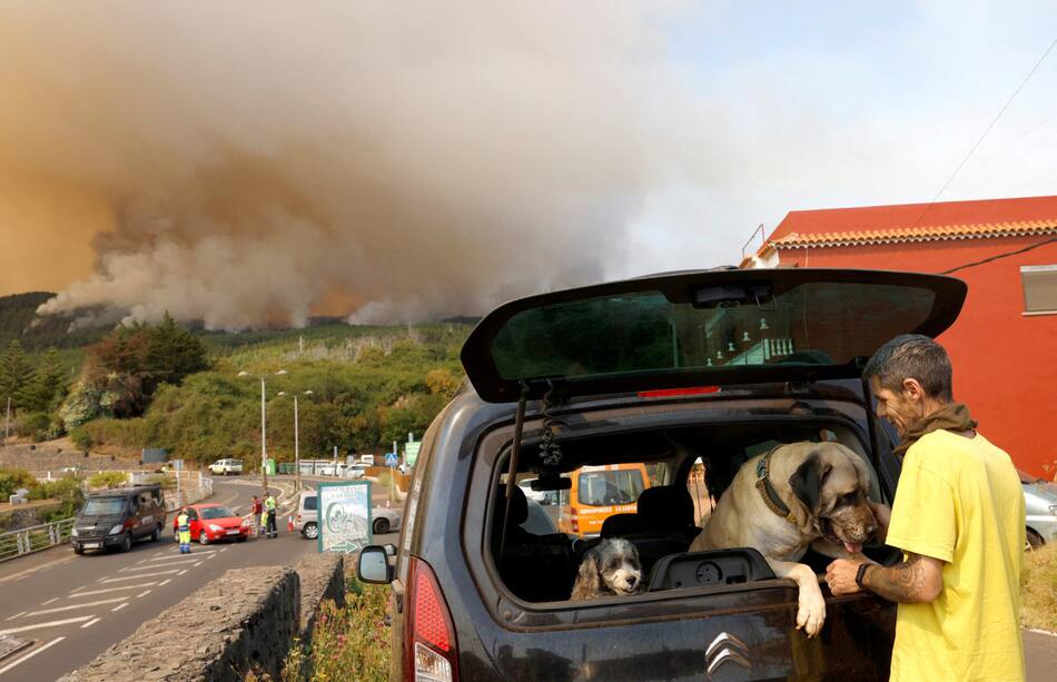 Incendios en Tenerife. Foto: Reuters.