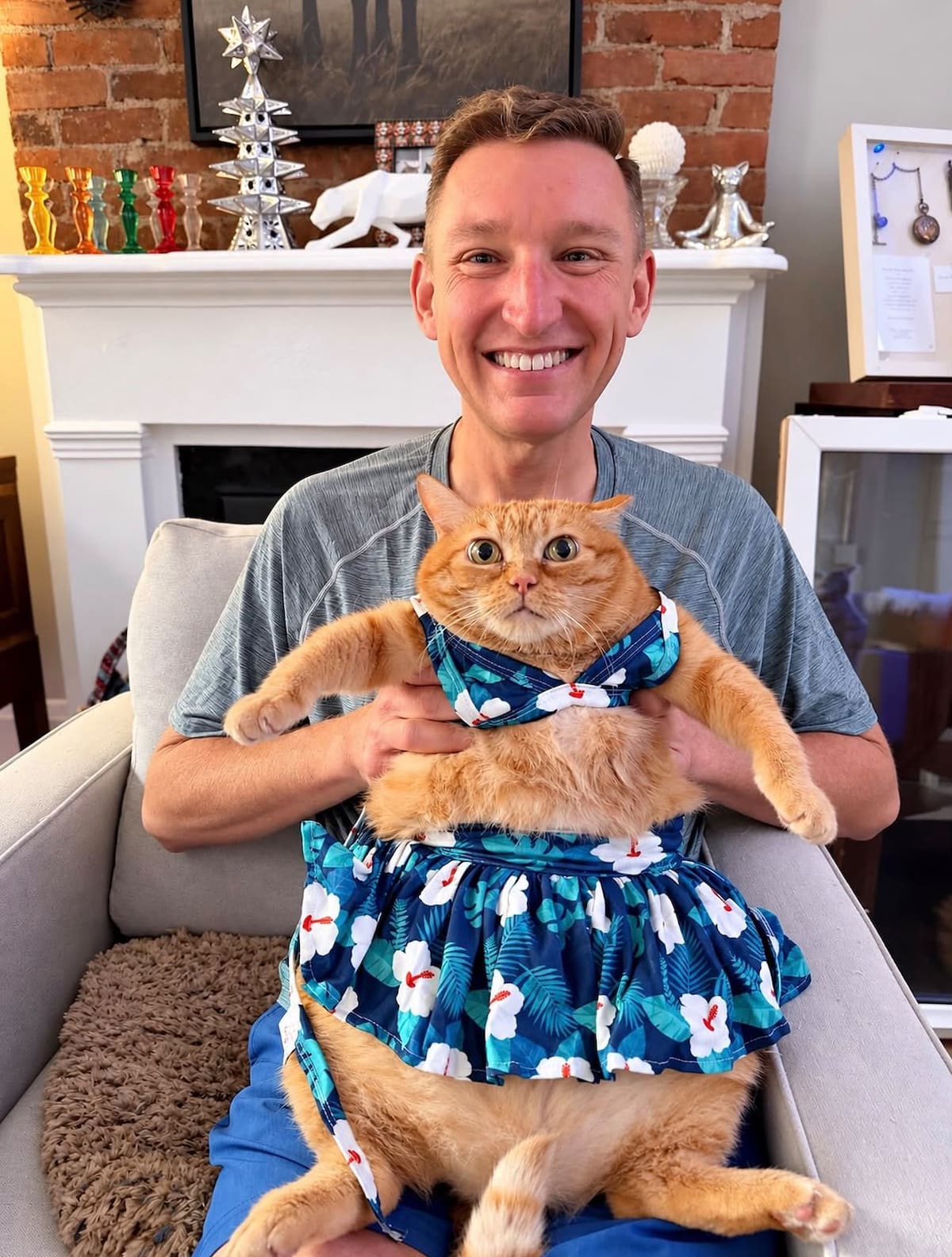 Adoptó a una gata de más de 11 kilos que apenas podía caminar y su transformación se volvió viral.
