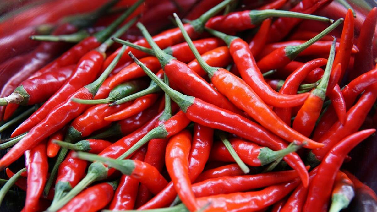 El poder del picante, según Harvard: cómo su consumo regular puede ayudar a vivir más años