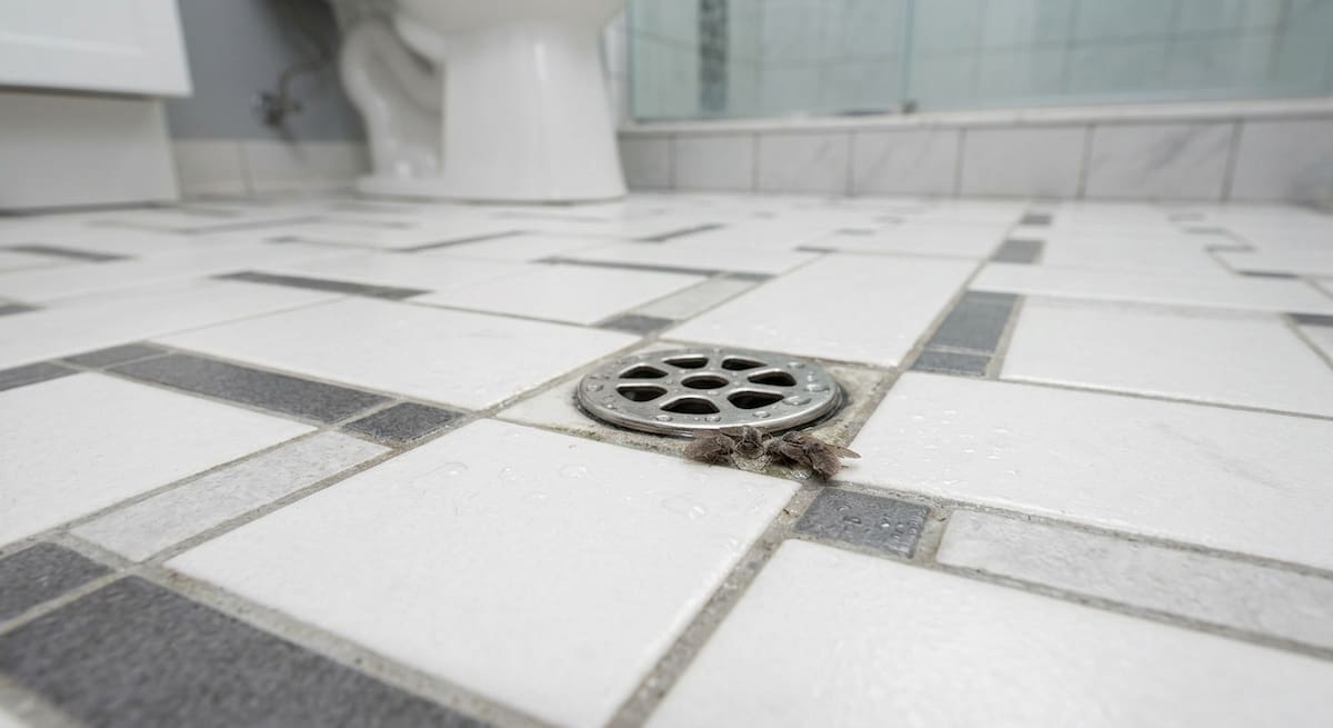 Como erradicar las mosquitas del baño y la cocina