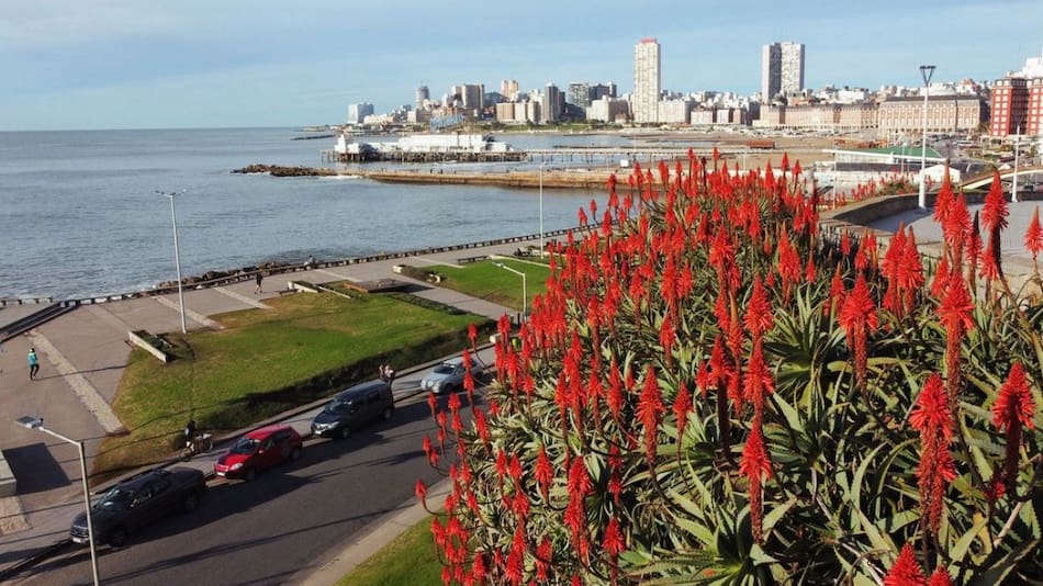 Mar del Plata. Foto: @turismomardelplata