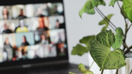 Clases virtuales. Foto: Unsplash.