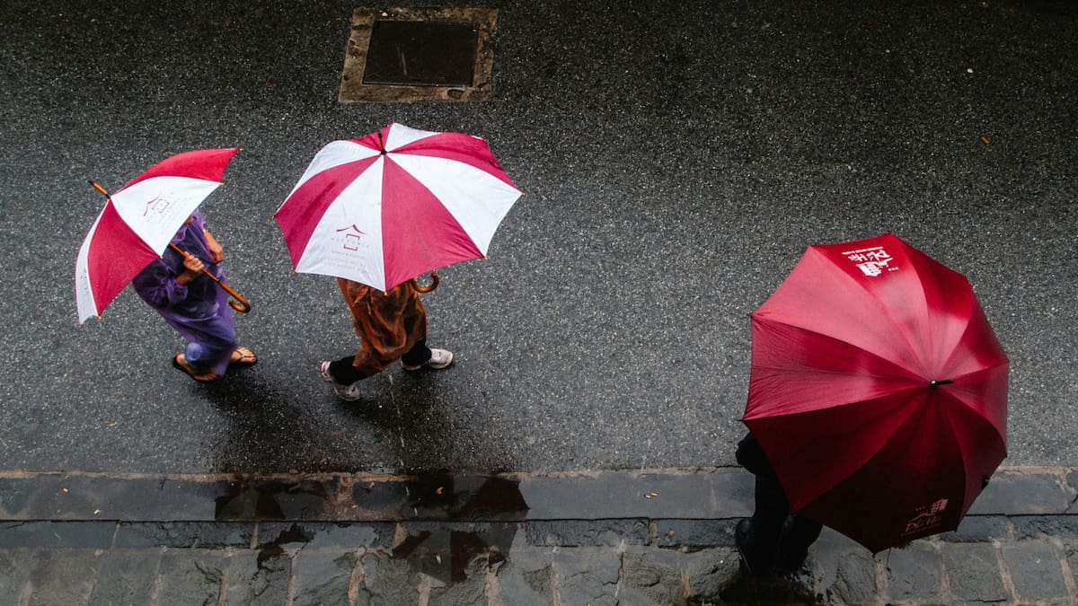 Lluvias. Foto: Unsplash.