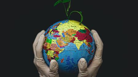 Día Internacional contra el Cambio Climático. Foto: Unsplash