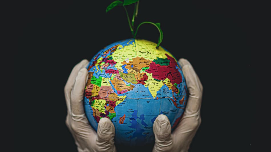 Día Internacional contra el Cambio Climático. Foto: Unsplash