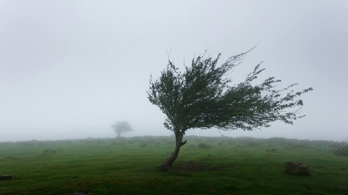 Alerta por vientos fuertes. Foto: Unsplash