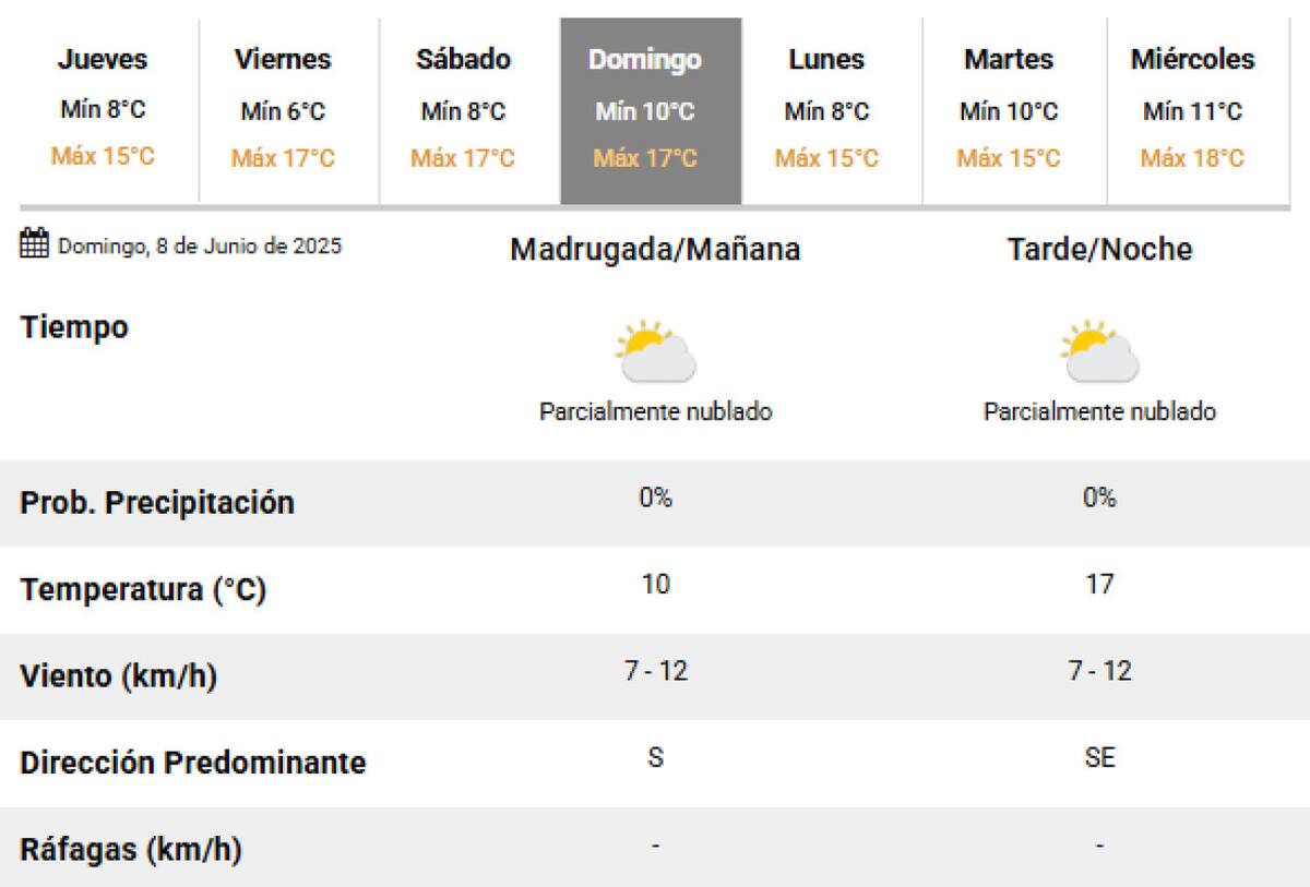 El clima para el próximo domingo en la Ciudad de Buenos Aires. Foto: SMN.