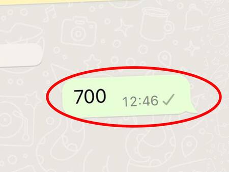 700, el "código secreto" de WhatsApp. Foto: Gentileza Crast.net.
