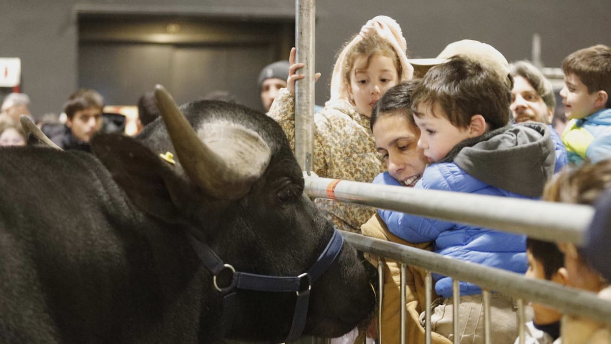 Las escapadas cerca de Buenos Aires ofrecen actividades para todas las edades, desde granjas educativas hasta espacios recreativos.