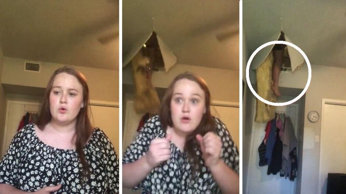 Viral, video de TikTok
