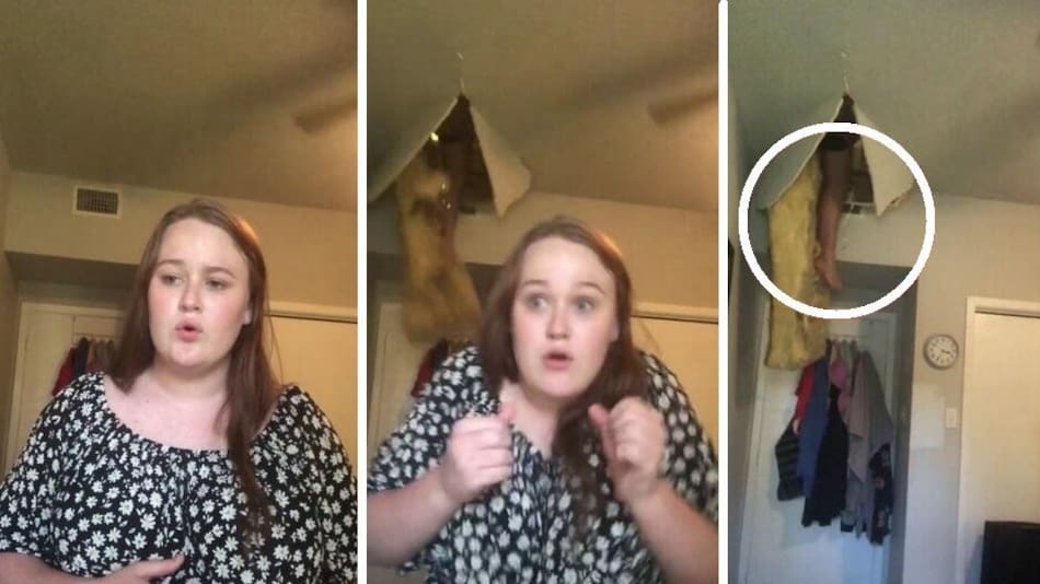 Viral, video de TikTok