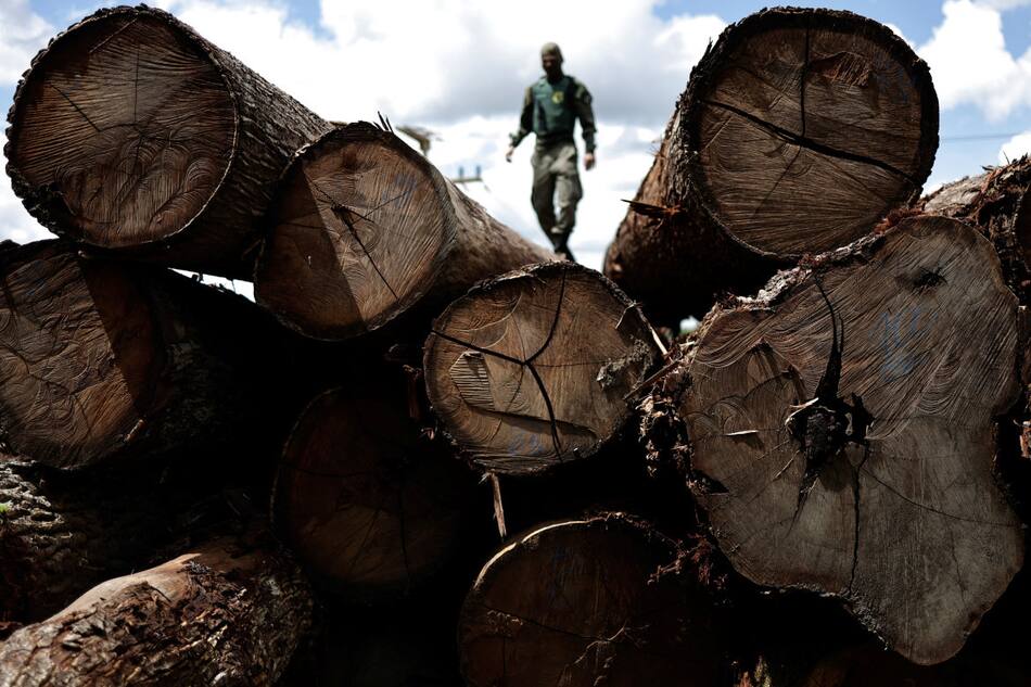 Deforestación en el Amazonas