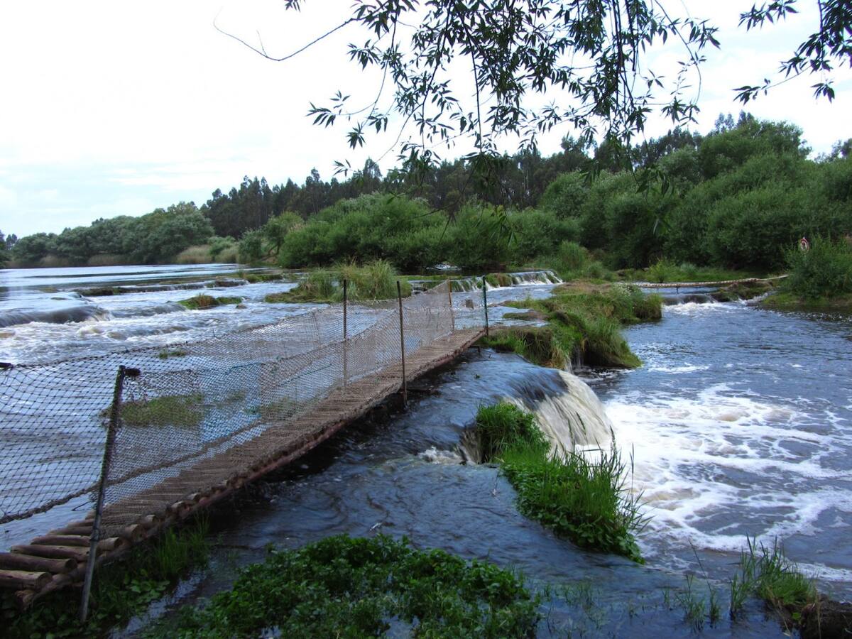 Las Cascadas, en Necochea. Foto: necochea.tur.ar.