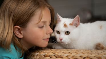 Comportamiento felino: cómo funcionan los sentidos con los que los gatos reconocen a sus dueños