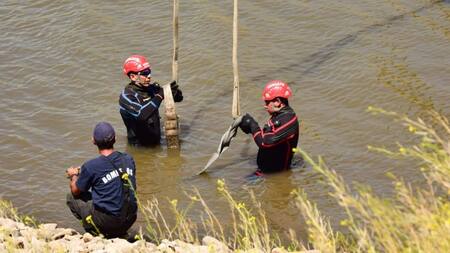 Buzos rescatan al hombre que cayó en el agua en Bahia Blanca. Fuente: Gentileza 0221