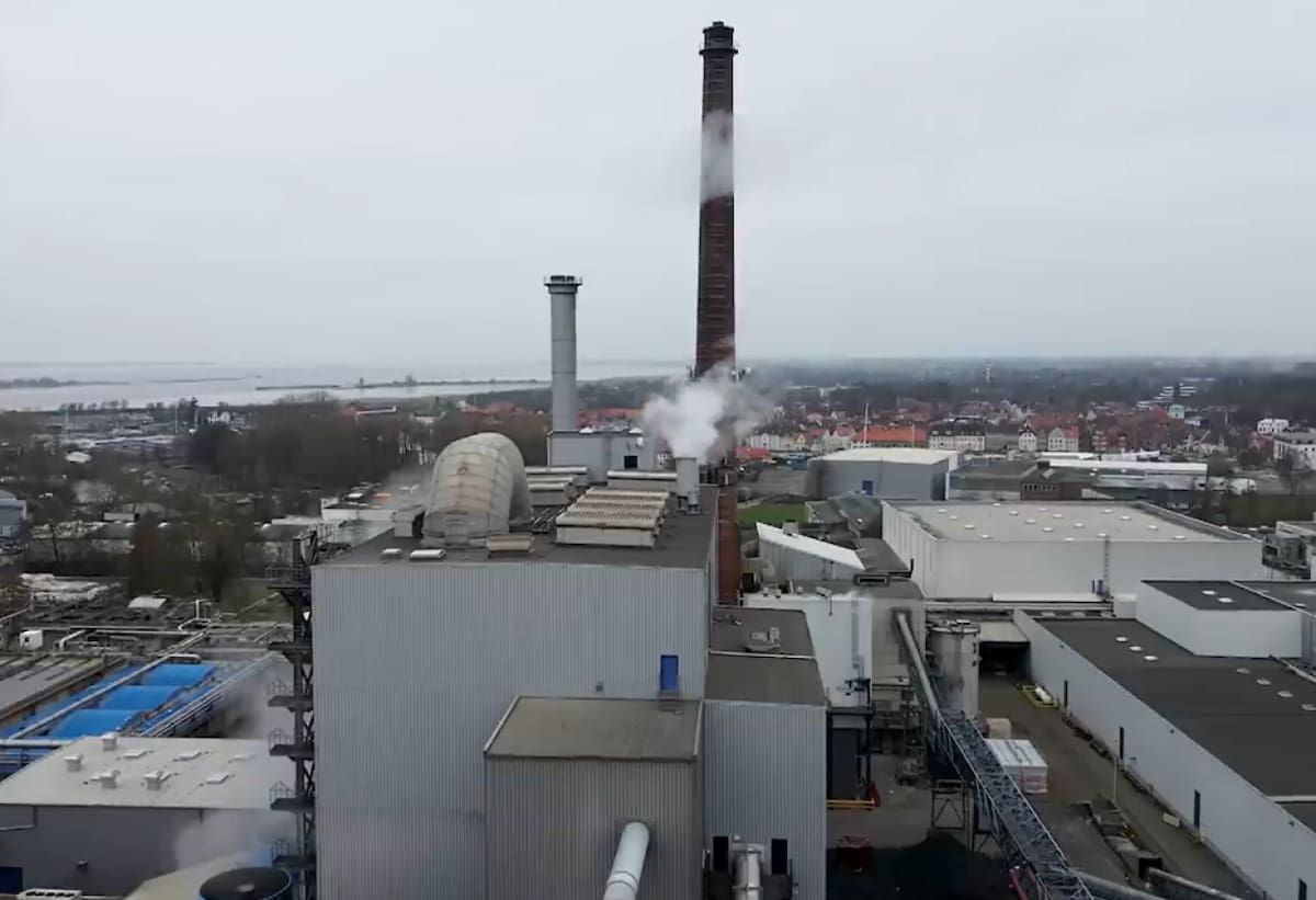 Papelera en Alemania. Foto: captura de video.