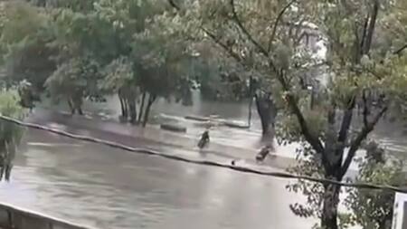 El joven que fue arrastrado por la corriente en José León Suárez. Foto: Captura.