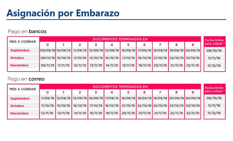 Anses, cronograma de pagos septiembre 2019, asignación por embarazo