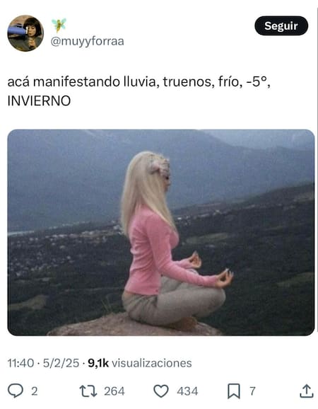 Los mejores memes de la lluvia en Buenos Aires. Foto: captura.