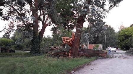 Tornado en Mar del Plata (Twitter)