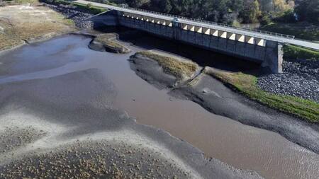 Sequía en Uruguay. Foto: Reuters