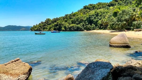 No es Morro de São Paulo: la paradisíaca playa de Brasil que es furor entre los jóvenes argentinos