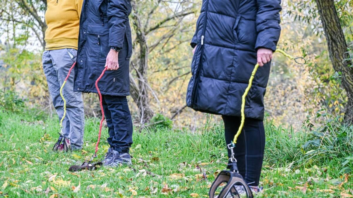 Cuál es la nueva moda de pasear con perros imaginarios