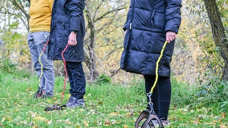 No son solo los “therians”: la nueva moda de pasear con perros imaginarios ya es un hecho