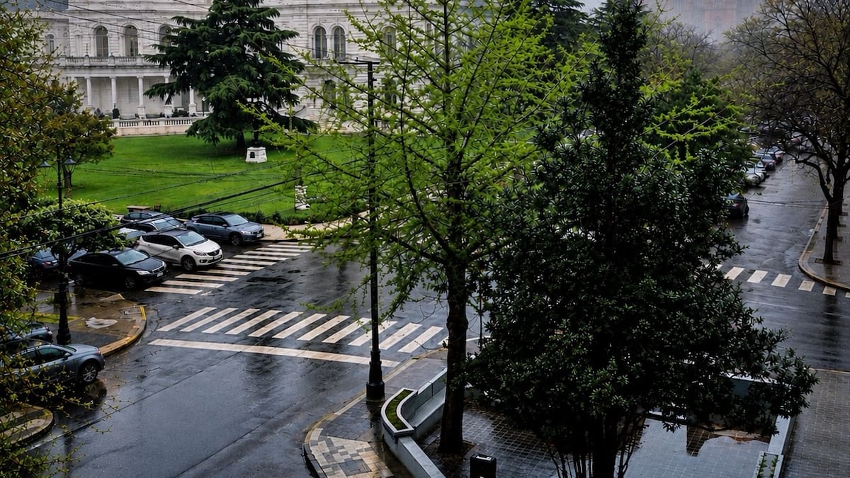 La Plata nació tras la federalización de Buenos Aires y fue diseñada completamente desde cero