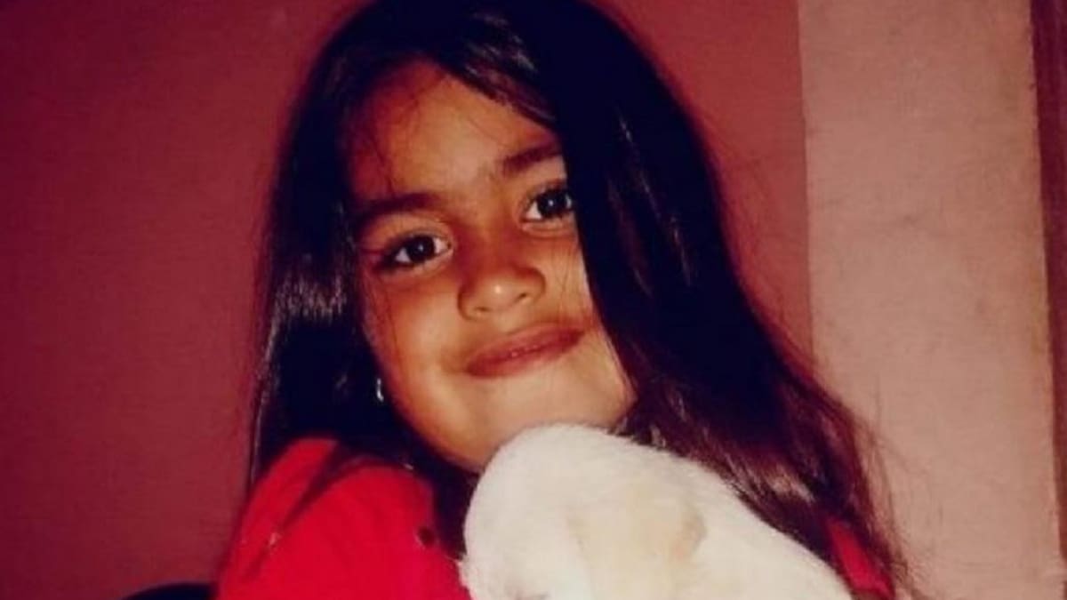 Caso Guadalupe Lucero: el Gobierno de San Luis actualizó la imagen de la menor desaparecida desde 2021