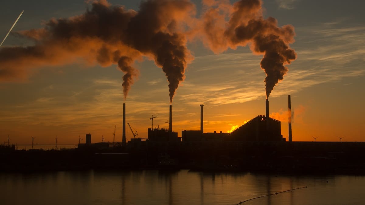 El plan de un país del BRICS para ahorrar miles de millones de dólares con combustible a base de aceite vegetal.
