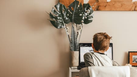 Computadora, internet, notebook. Foto: Pexels.
