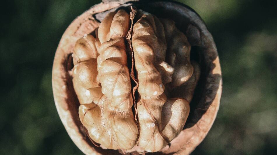 Nueces. Foto: Unsplash