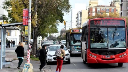 Colectivos en Mar del Plata