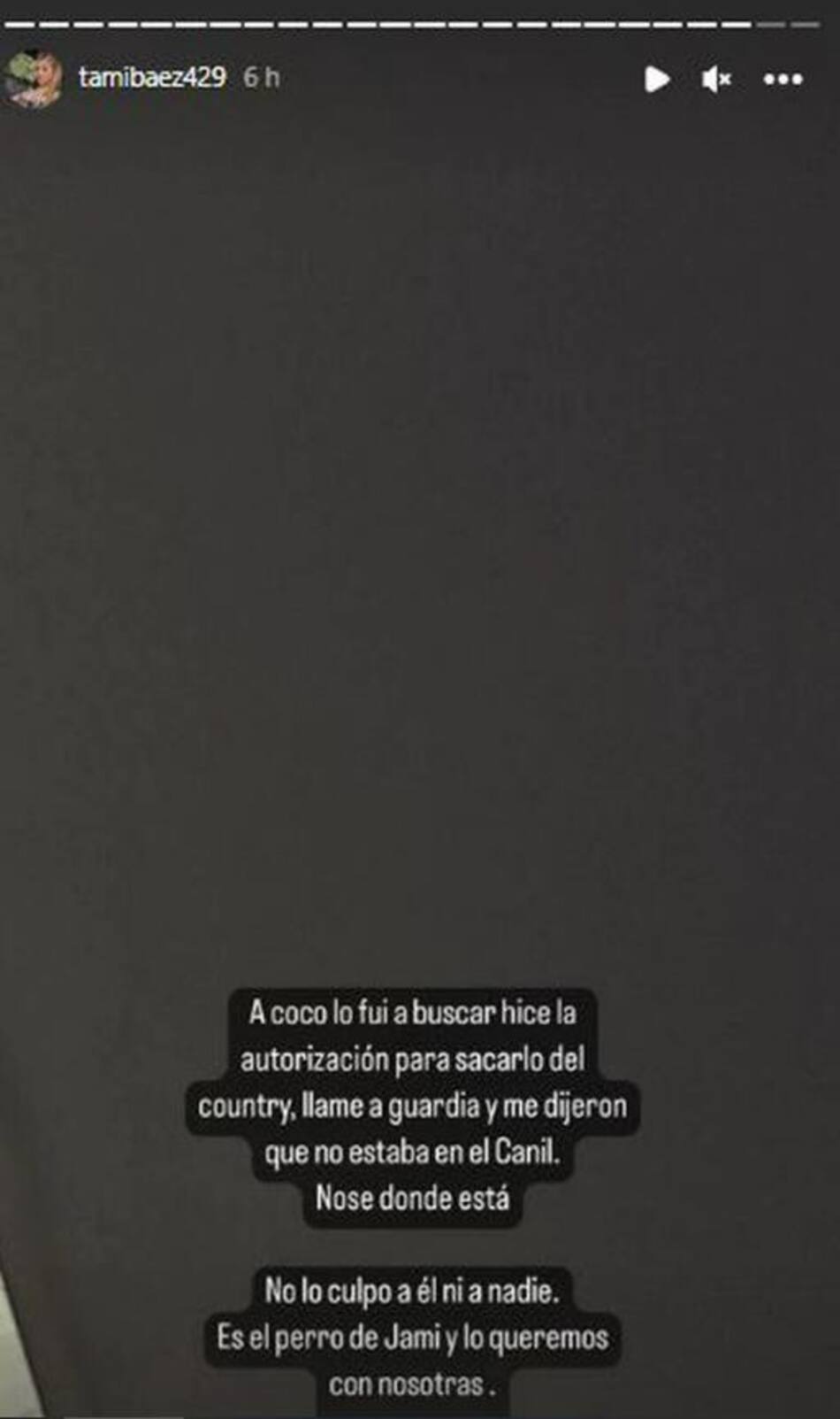 Tamara Báez sigue sin encontrar a su mascota. Foto: Instagram/tamibaez429