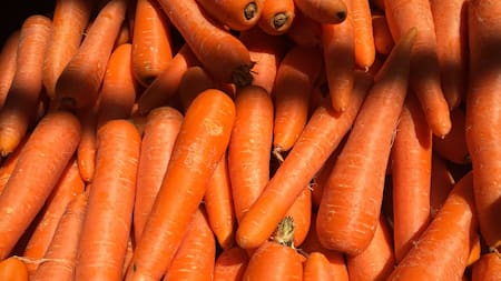 Zanahoria, verdura, salud, raíz. Foto: Unsplash