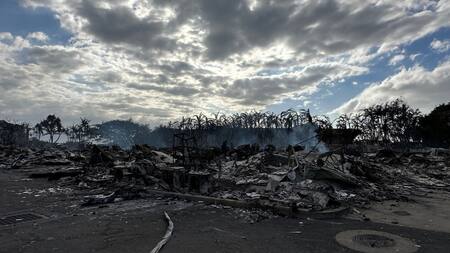 Destrucción por los incendios en Hawái. Foto: Reuters.