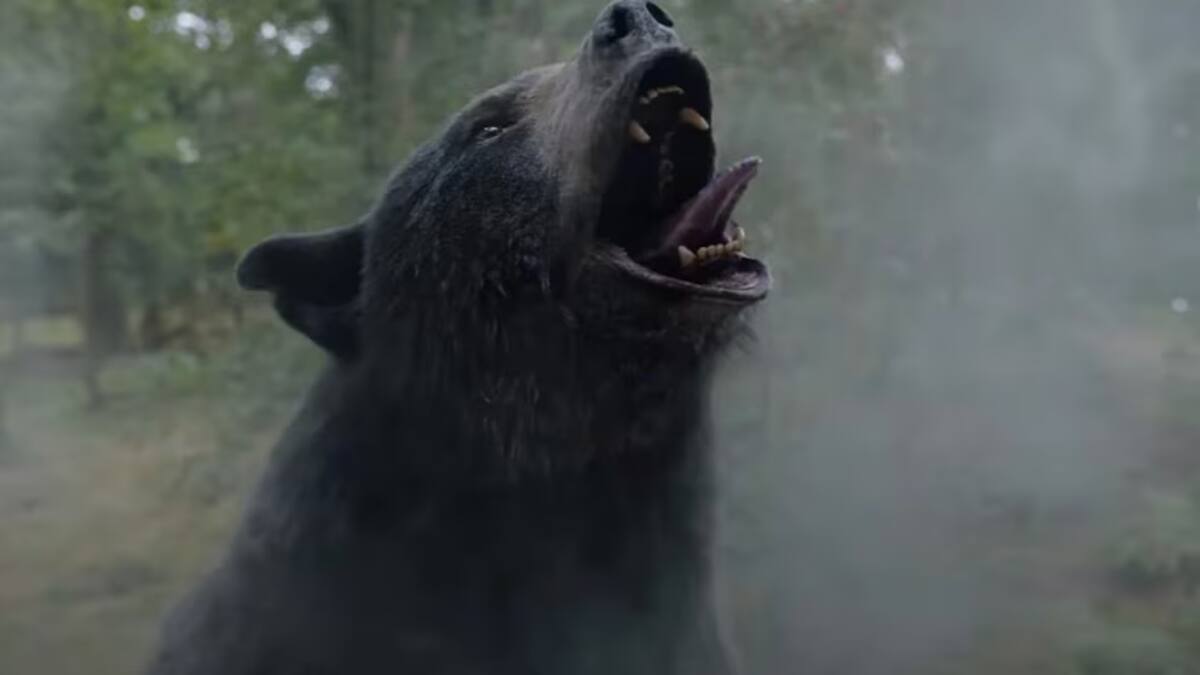 Oso intoxicado, película.